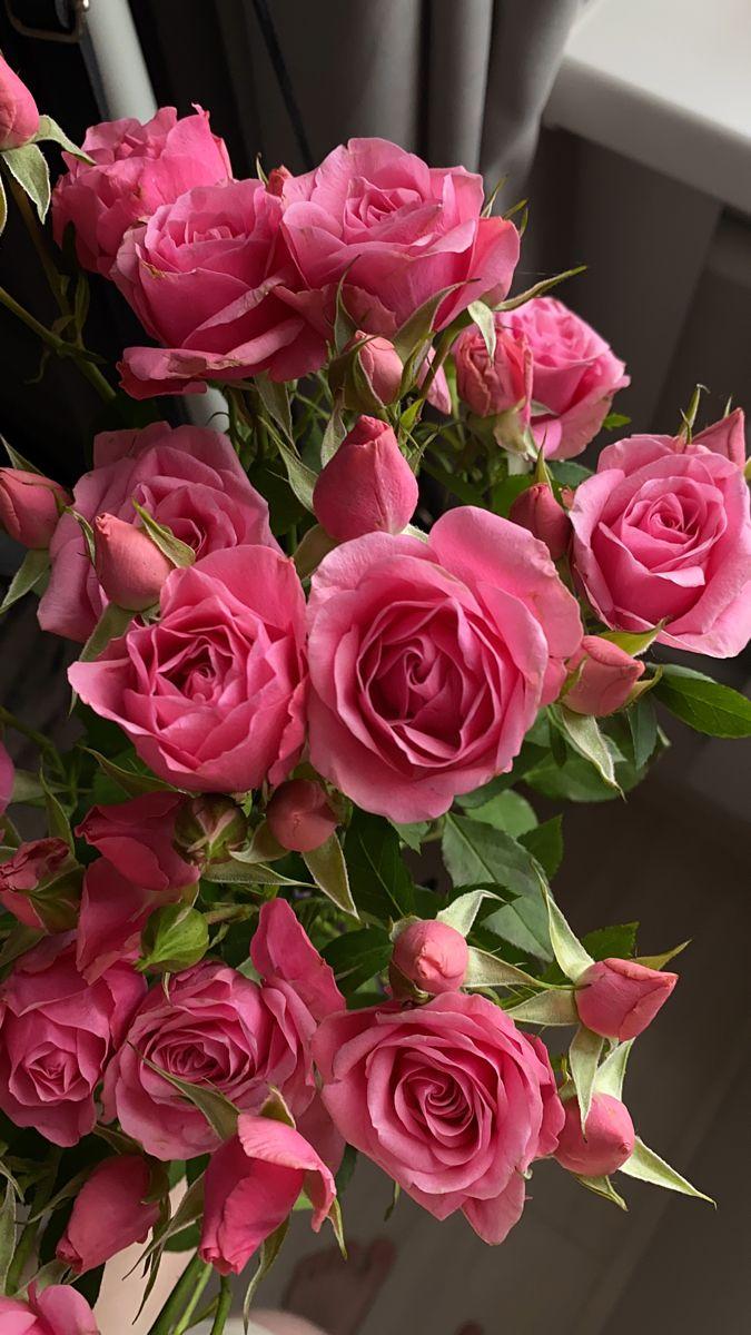 SignalGardenPath workshop space where corporate flower arrangements are designed and prepared for business delivery